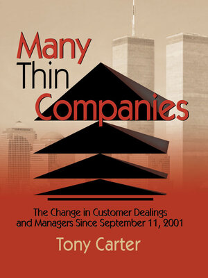 cover image of Many Thin Companies